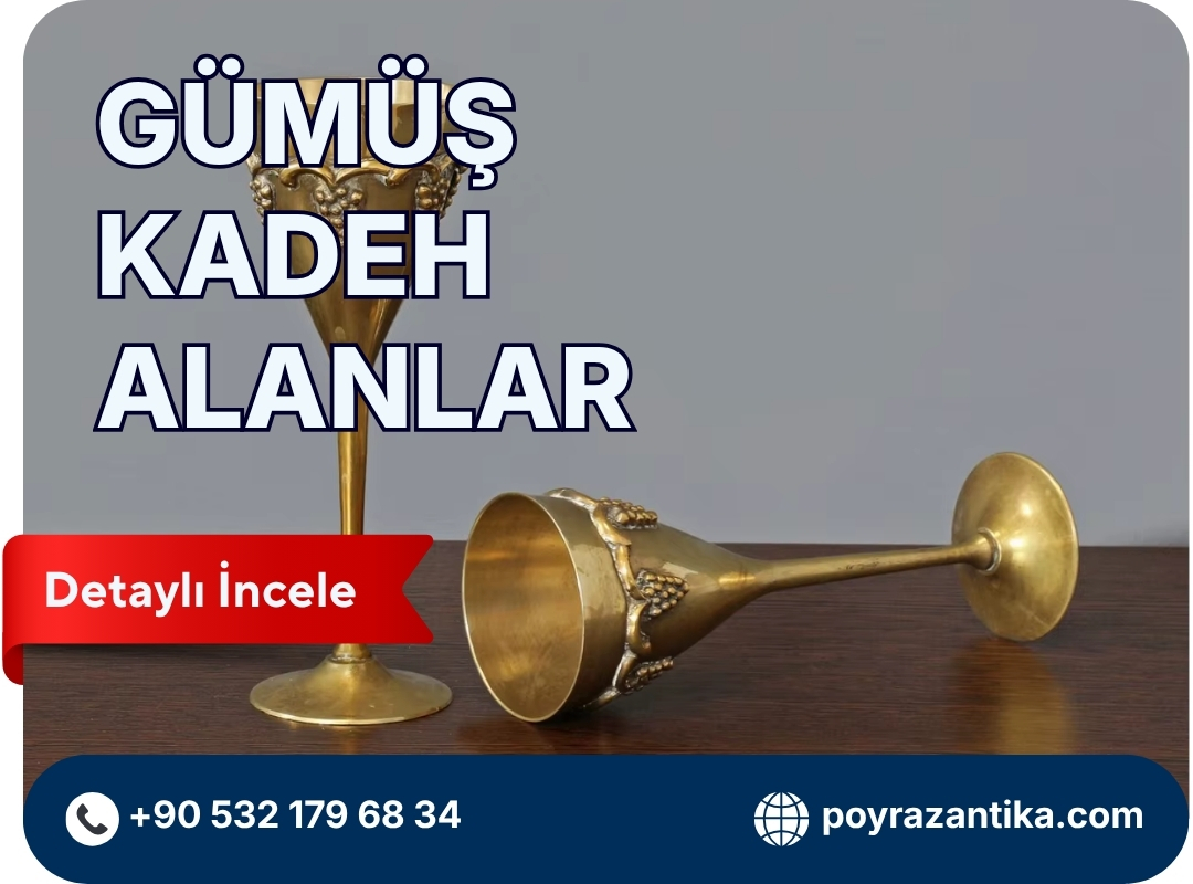 Gümüş Kadeh Alanlar