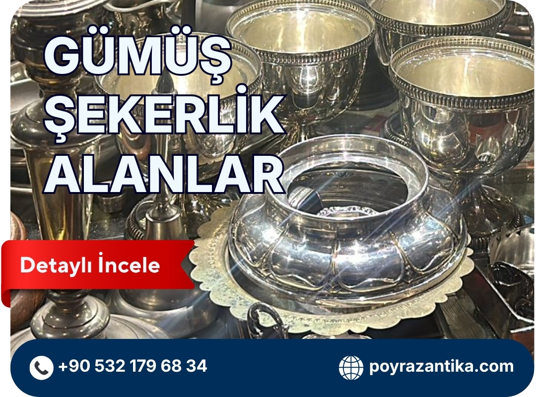 Gümüş Şekerlik Alanlar