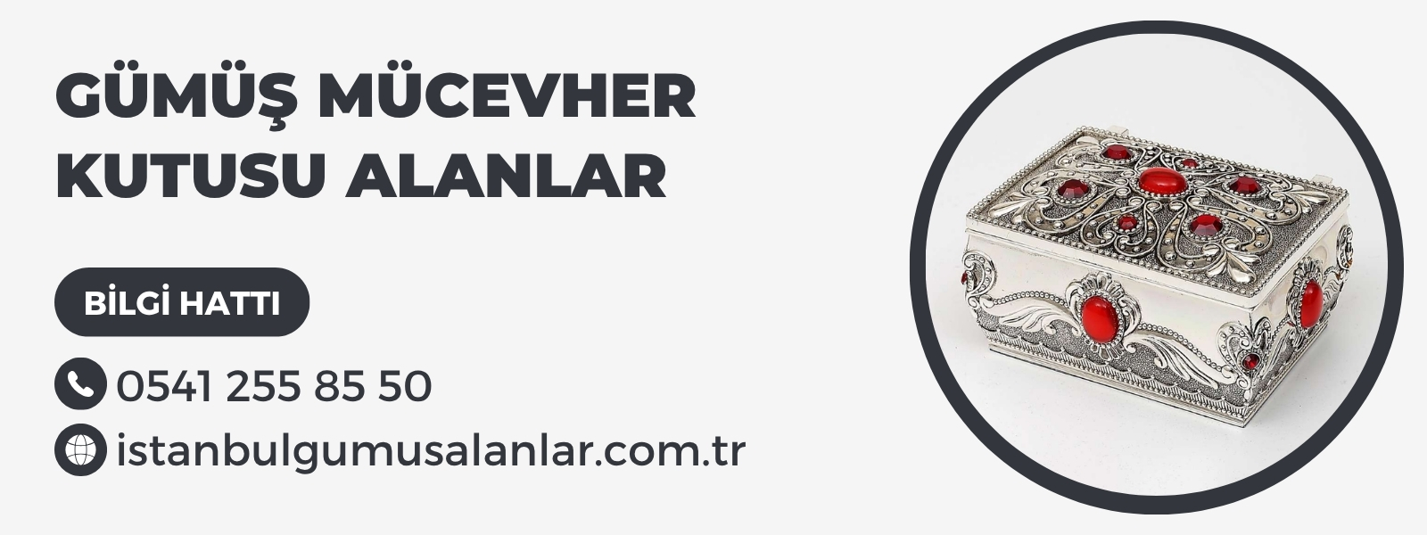 Gümüş Mücevher Kutusu Alanlar
